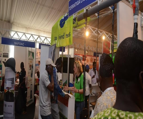 Afro-messe
